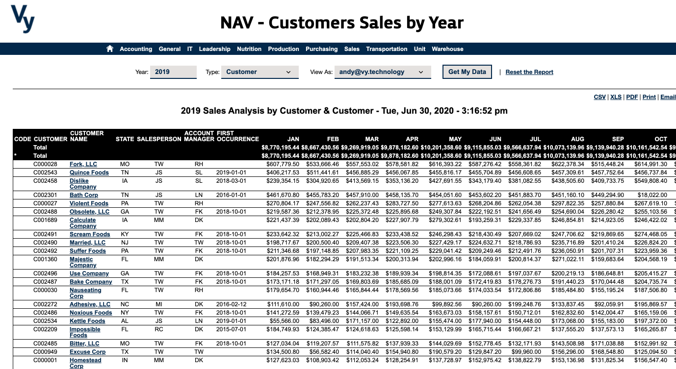 Vy NAV Reports - Customer Sales by Year