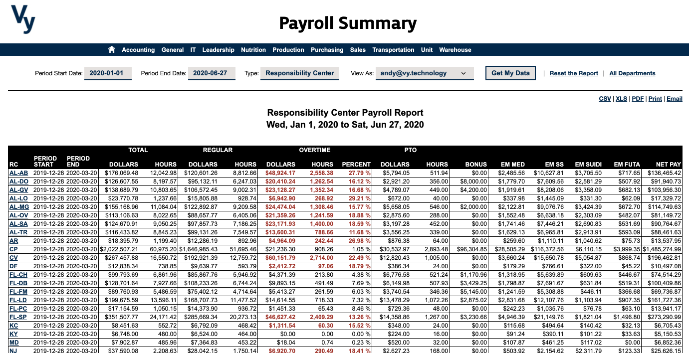 Vy NAV Reports - Payroll-Summary